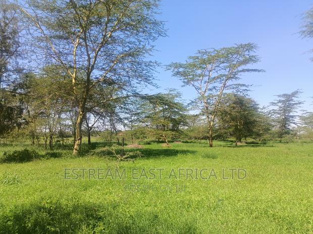 15 Acres at Kisaju. 5.6kms From Kitengela-Namanga Road. - thumbnail 4