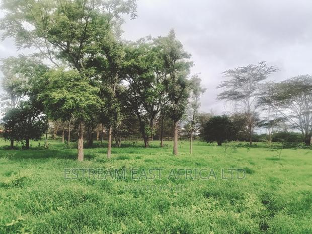 15 Acres at Kisaju. 5.6kms From Kitengela-Namanga Road. - thumbnail 5