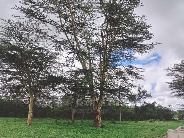 15 Acres at Kisaju. 5.6kms From Kitengela-Namanga Road. - thumbnail 6