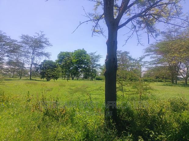 15 Acres at Kisaju. 5.6kms From Kitengela-Namanga Road. - thumbnail 7