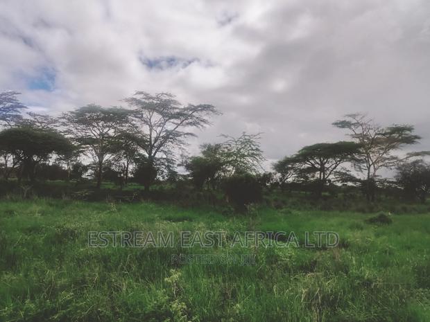 15 Acres at Kisaju. 5.6kms From Kitengela-Namanga Road. - thumbnail 9
