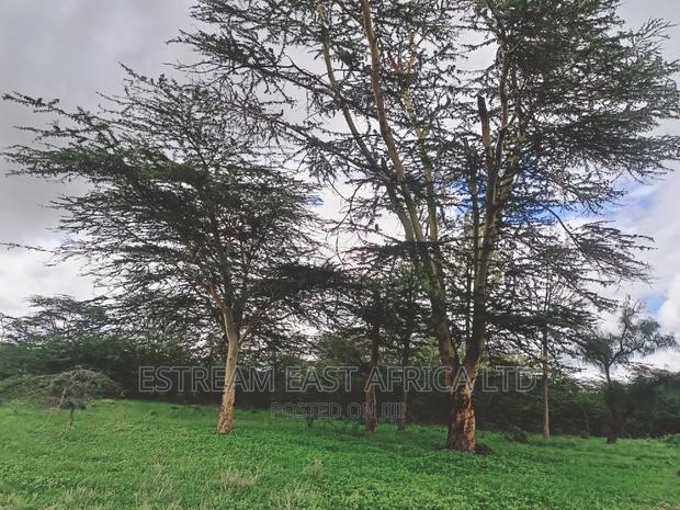 15 Acres at Kisaju. 5.6kms From Kitengela-Namanga Road. - thumbnail 10