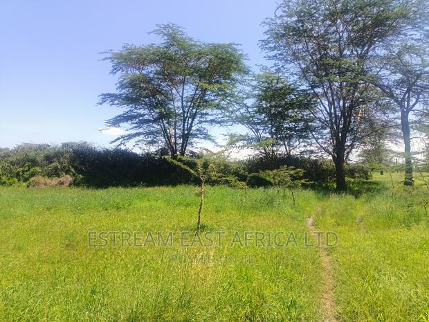 15 Acres at Kisaju. 5.6kms From Kitengela-Namanga Road. - thumbnail 11