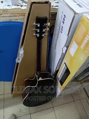 Acoustic Guitar Ibanezs"