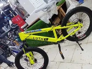 Mountain Bike Size 20