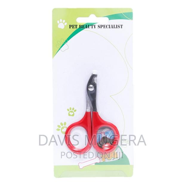 Small Cat and Dog Nail Clipper Scissor Type - main view