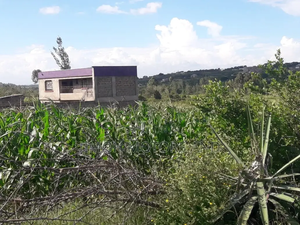 Kiganjo Thika Near Kamuthi 40 by 80 Selling at 6m With Title