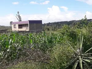 Kiganjo Thika Near Kamuthi 40 by 80 Selling at 6m With Title