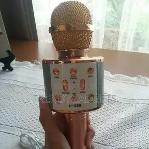 Portable Handheld Karaoke Mic
