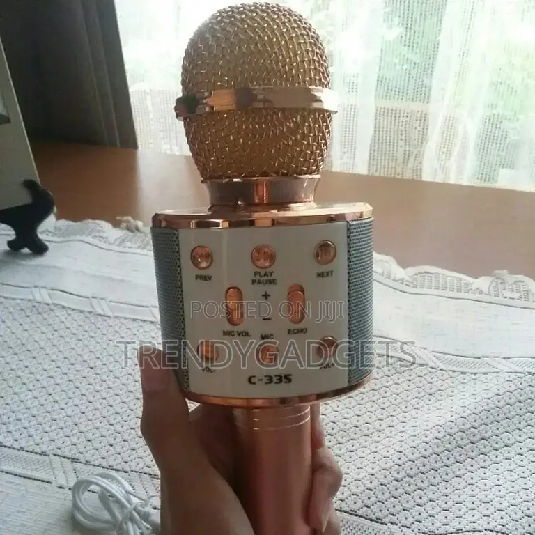 Portable Handheld Karaoke Mic