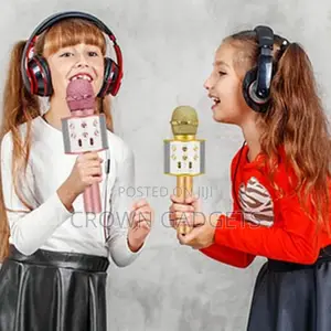 Karaoke Microphone Wireless Professiona