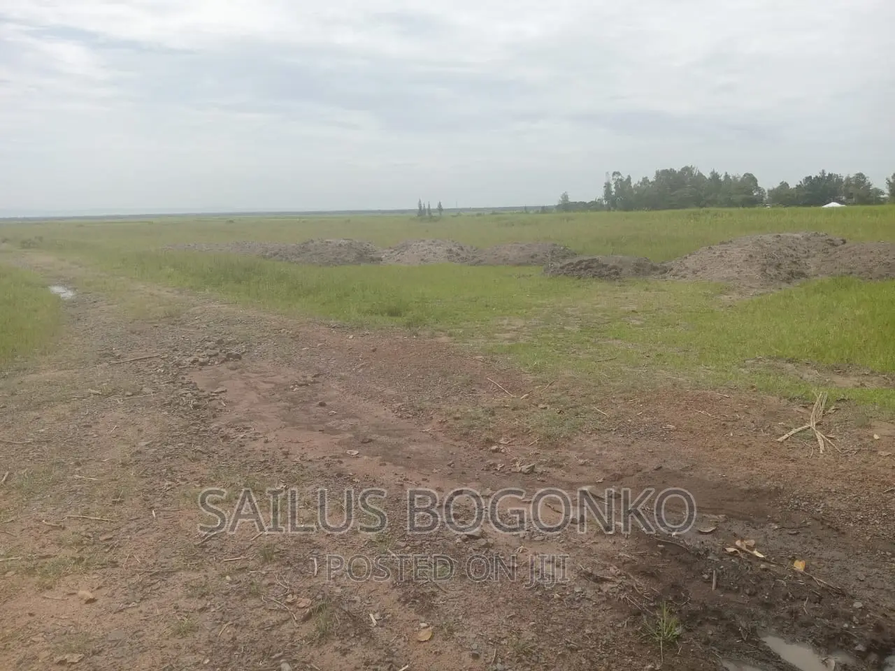 Land for Sale in Kibos Kisumu