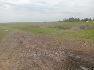 Land for Sale in Kibos Kisumu - thumbnail 2