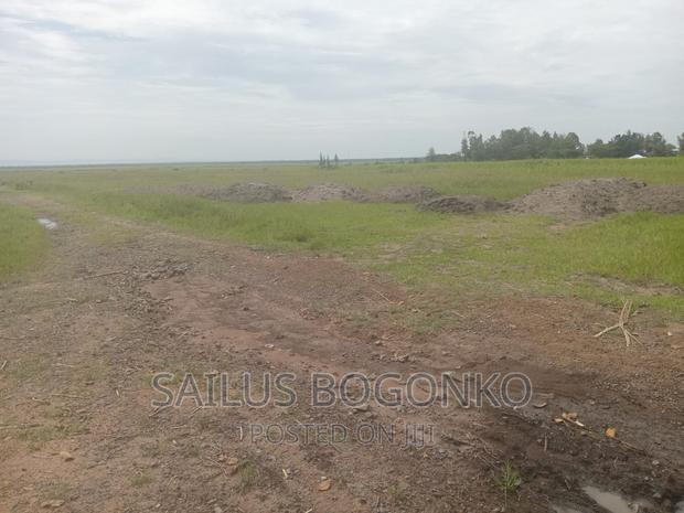 Land for Sale in Kibos Kisumu