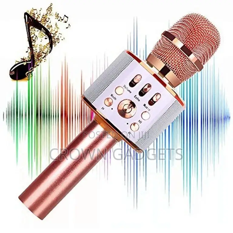 WS858 Wireless Karaoke