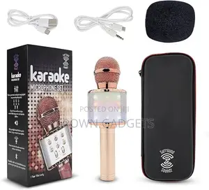 WS858 Wireless Karaoke Microphone Portable
