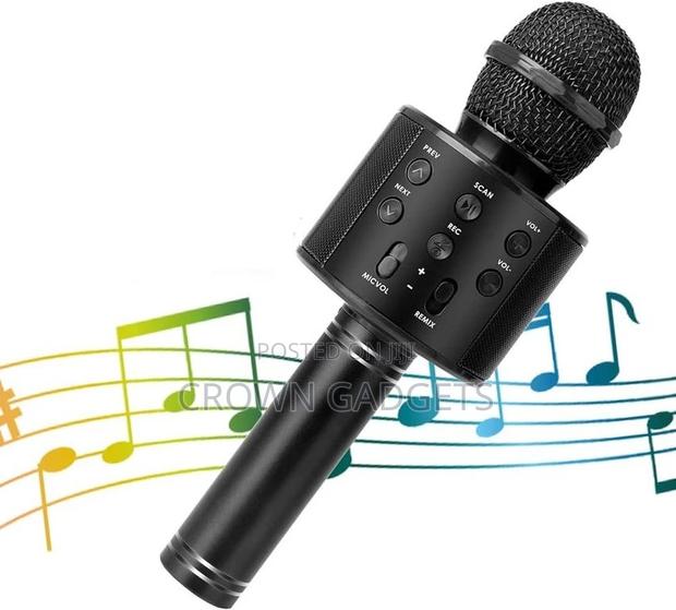 Wireless Microphone for Karaoke - main view