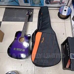Size 38 Semi Acoustic Bag Fender Padded Guitar Bag