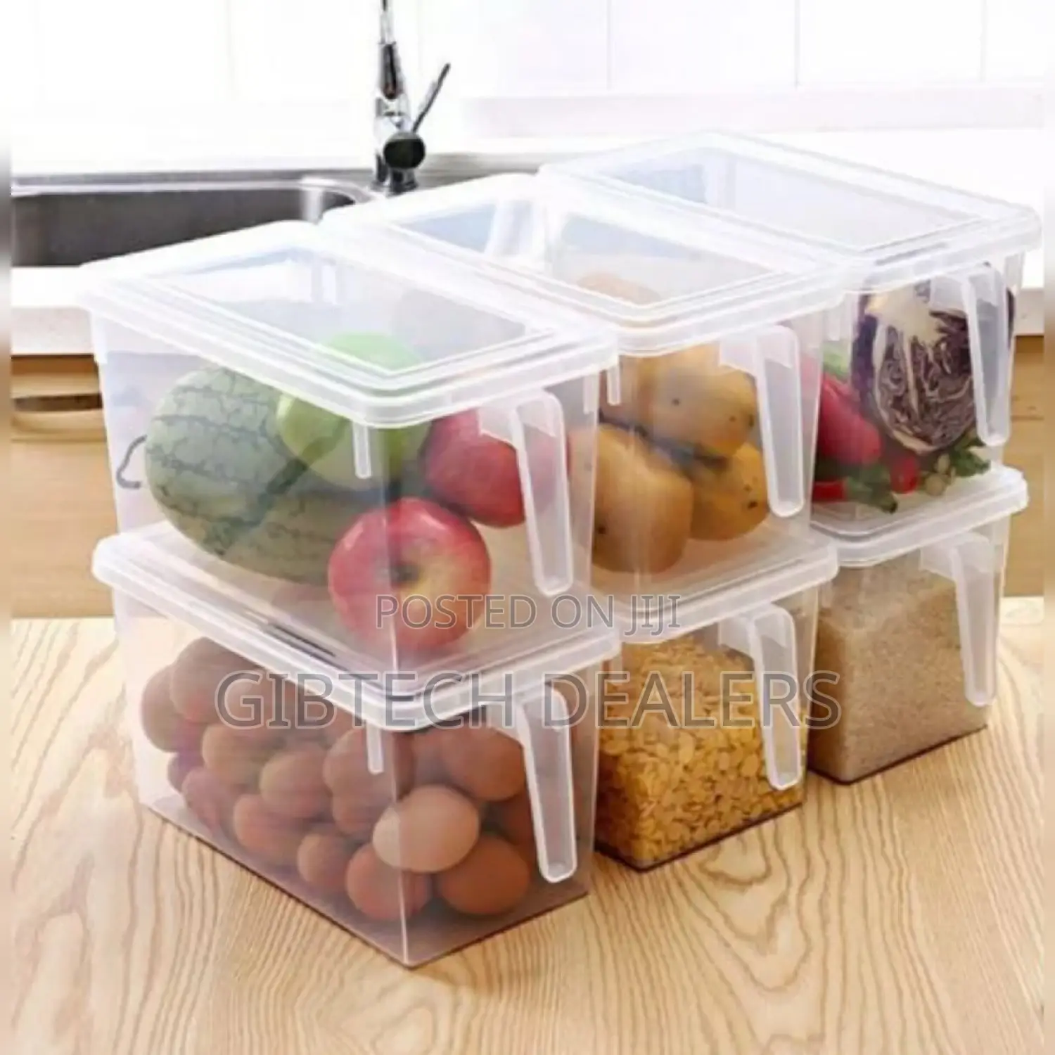 Storage Fridge Container and Handle