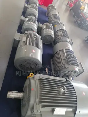 STCL Italian 50hp 3phase Motor-Quality