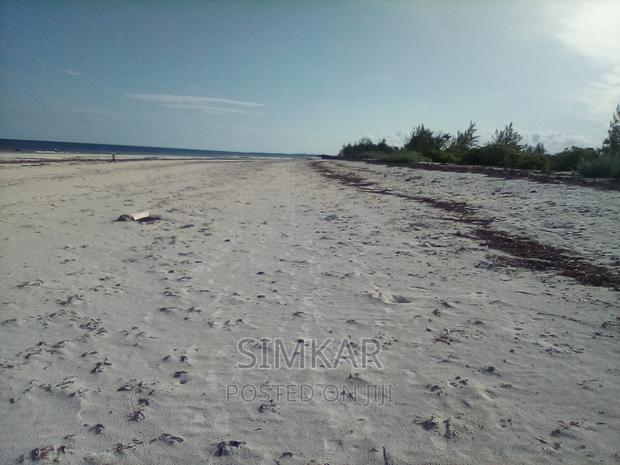 50-Acre Beach Plot for Sale in Bofa - main view