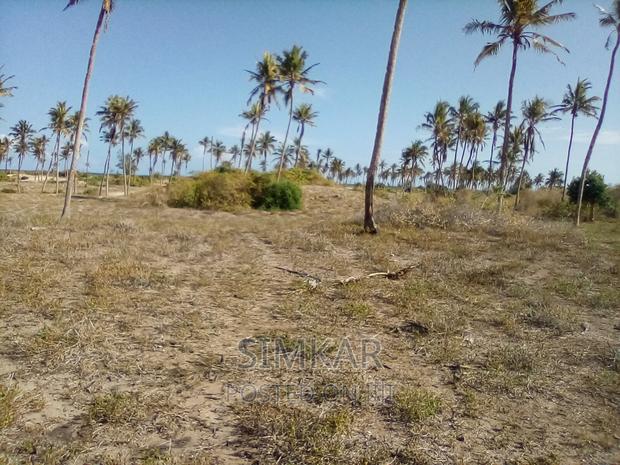 50-Acre Beach Plot for Sale in Bofa - thumbnail 6