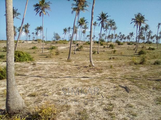 50-Acre Beach Plot for Sale in Bofa - thumbnail 10