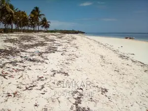 20-Acre Beach Plot for Sale in Kikambala