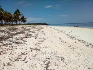 20-Acre Beach Plot for Sale in Kikambala