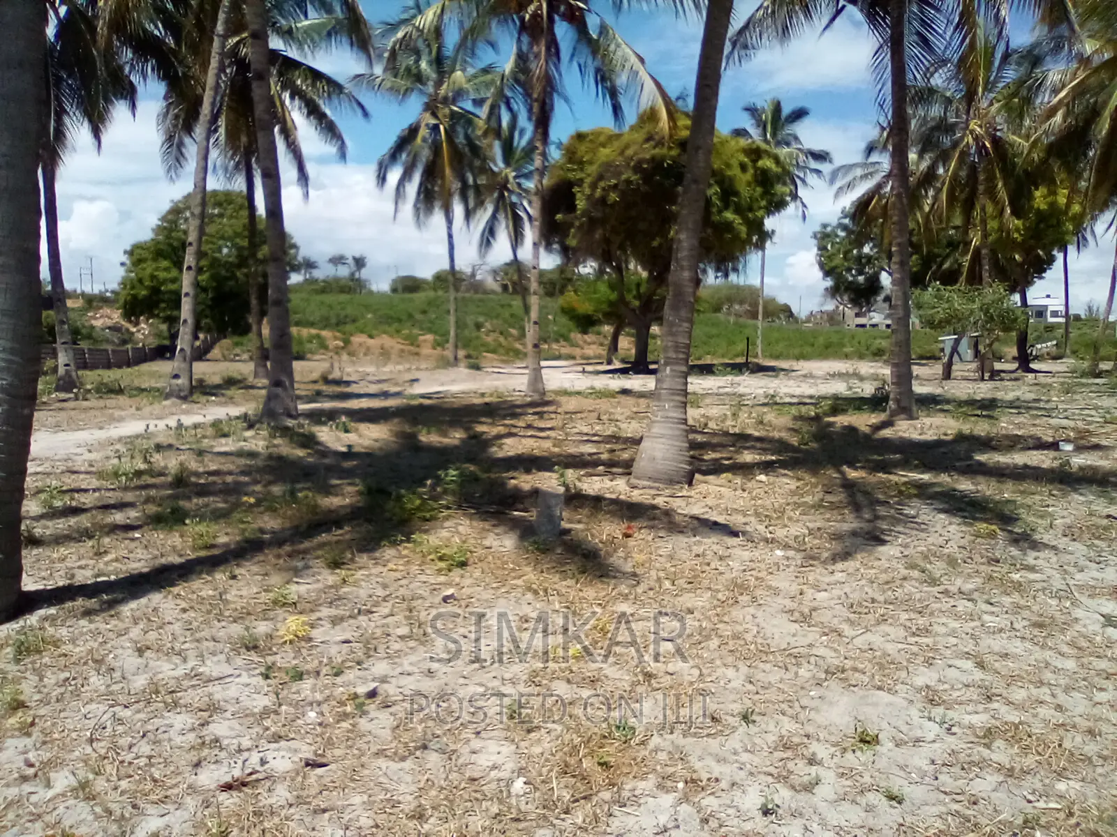 20-Acre Beach Plot for Sale in Kikambala