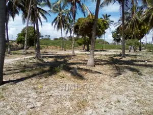 20-Acre Beach Plot for Sale in Kikambala