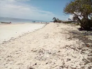 20-Acre Beach Plot for Sale in Kikambala
