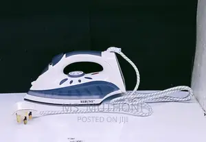 Steam Rebune Iron Box