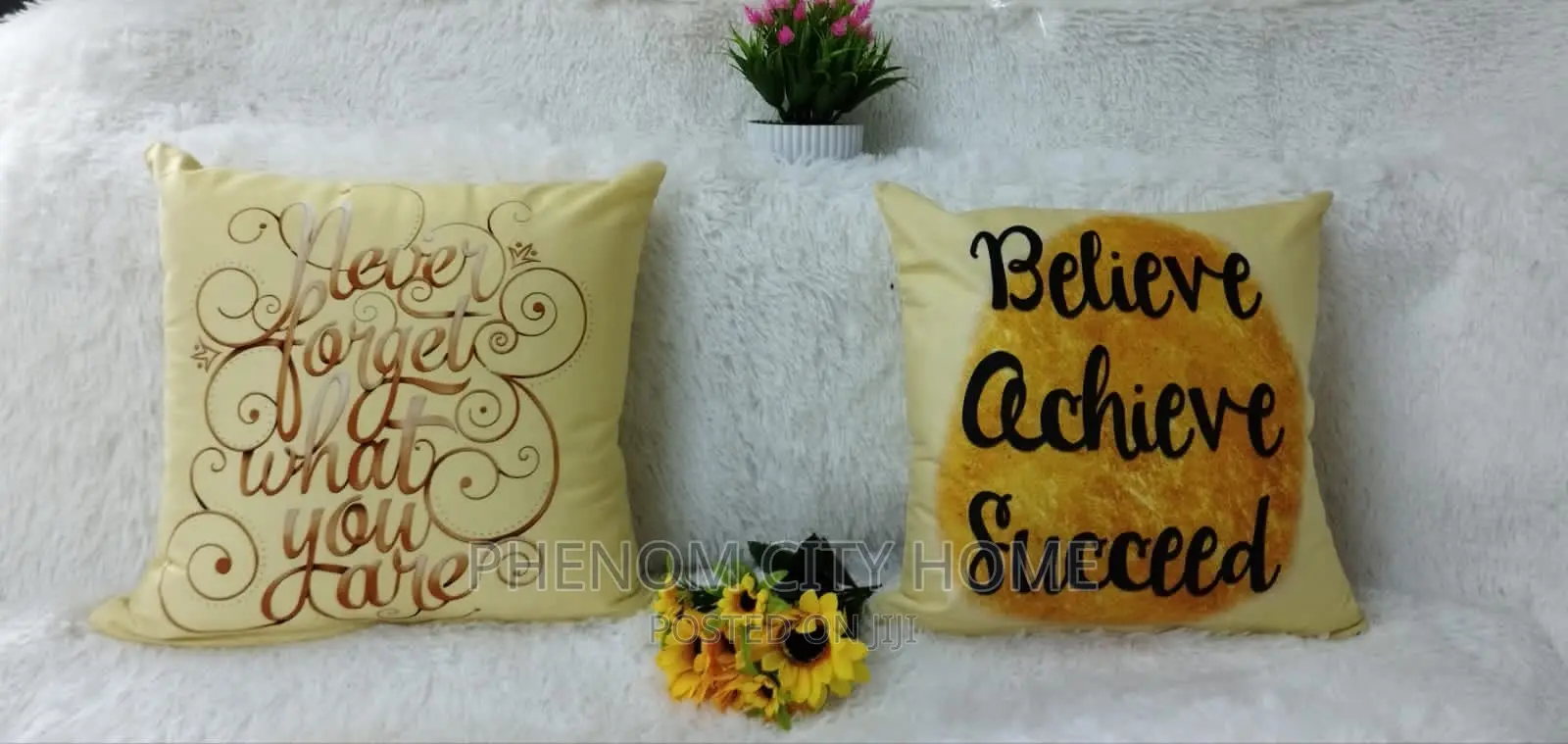 Printed Decorative Pillow Cases