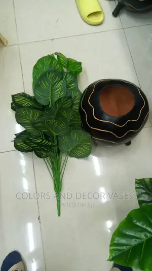 Calabash and Plant Offer Price