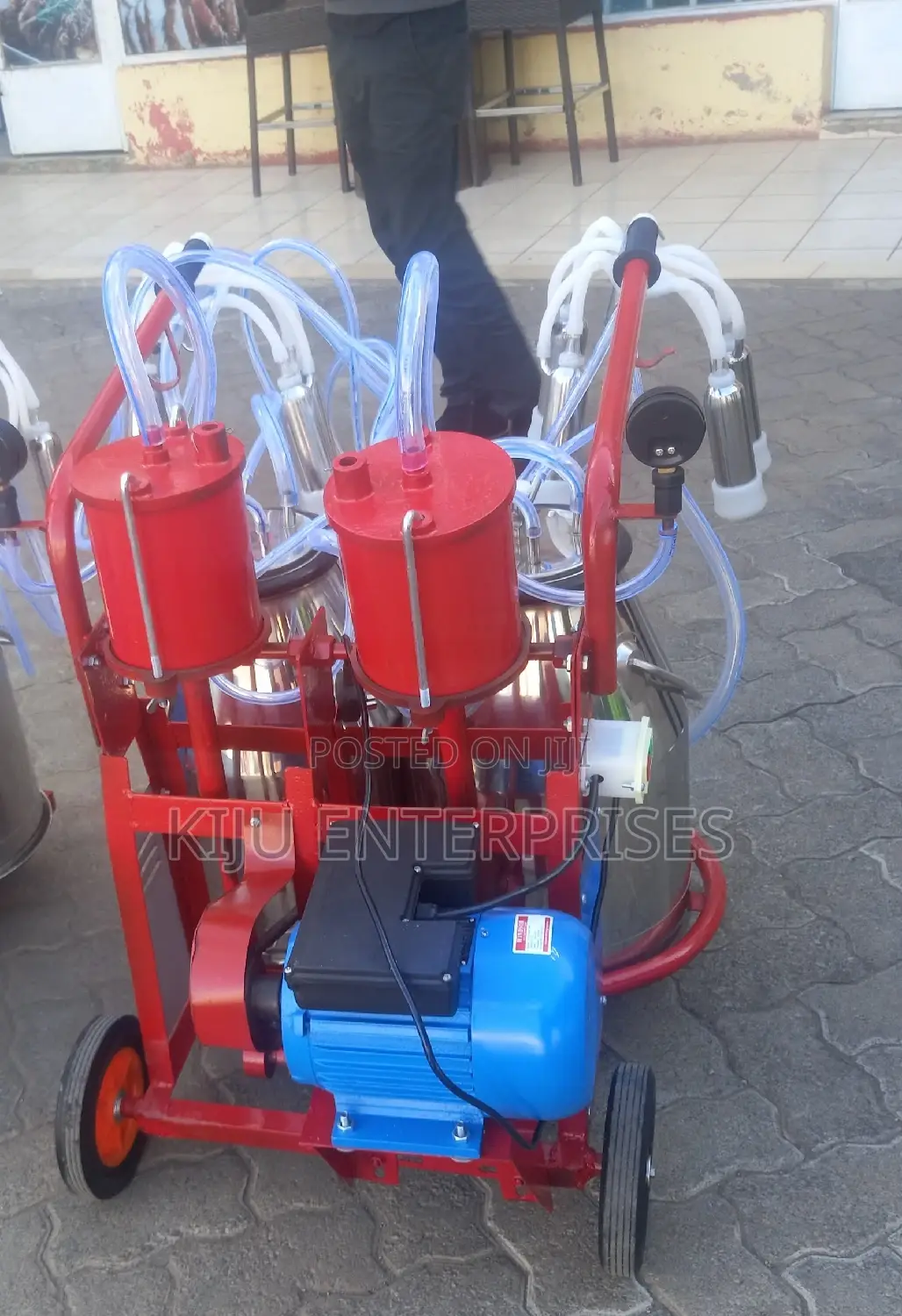 Double Double ###Milking Machine Available