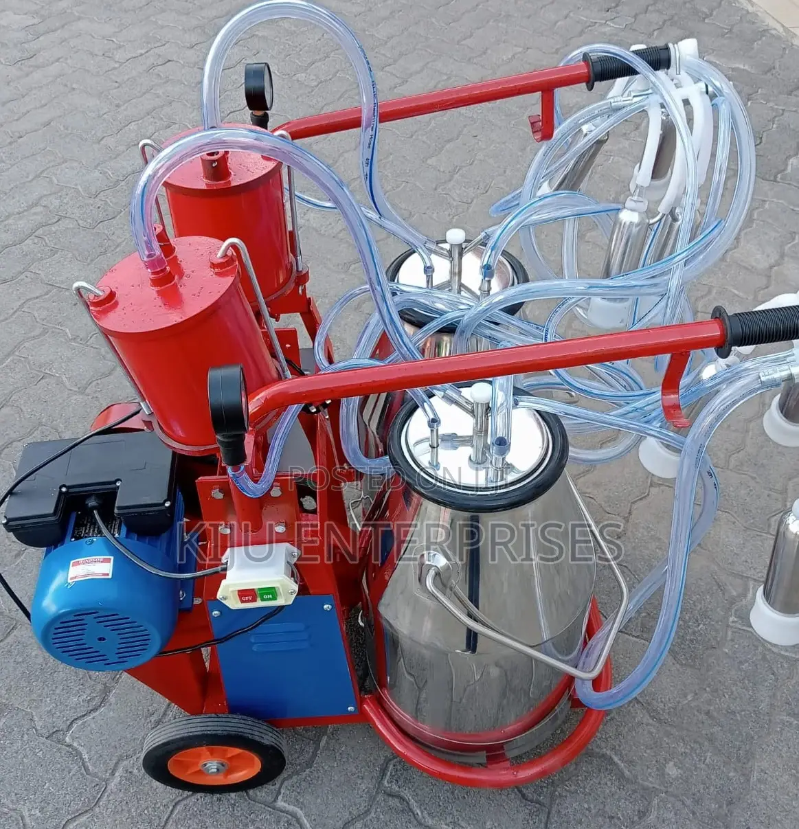 Double Double ###Milking Machine Available