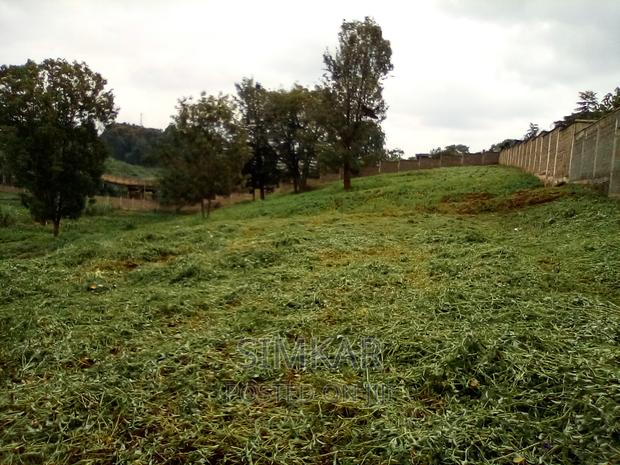 0.5-Acre Plots for Sale in Rosslyn - main view