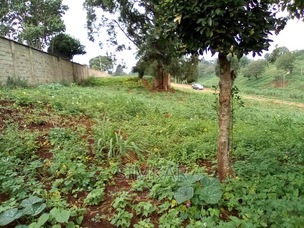 0.5-Acre Plots for Sale in Rosslyn - thumbnail 2