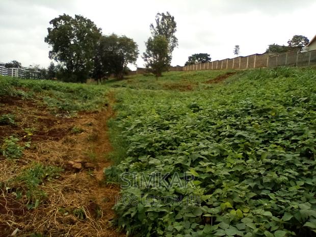 0.5-Acre Plots for Sale in Rosslyn - thumbnail 4