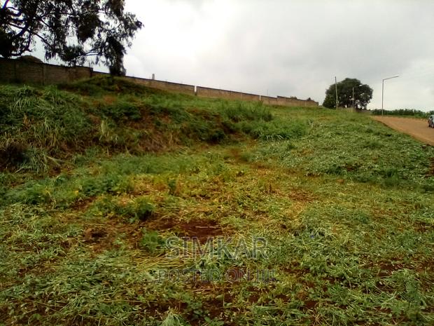 0.5-Acre Plots for Sale in Rosslyn - thumbnail 5