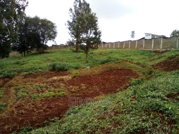 0.5-Acre Plots for Sale in Rosslyn - thumbnail 6