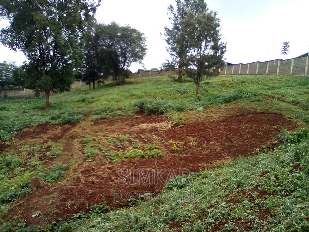 0.5-Acre Plots for Sale in Rosslyn - thumbnail 7