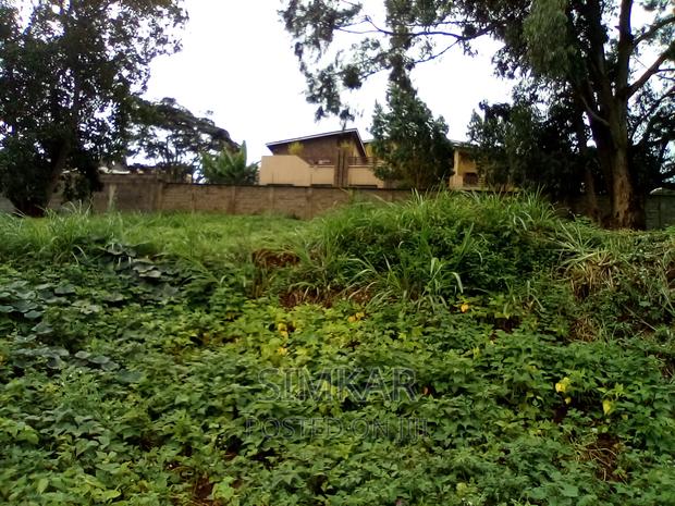 0.5-Acre Plots for Sale in Rosslyn - thumbnail 8