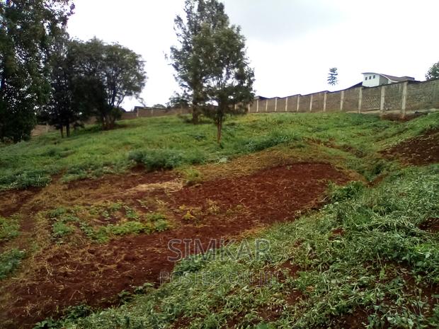 0.5-Acre Plots for Sale in Rosslyn - thumbnail 10