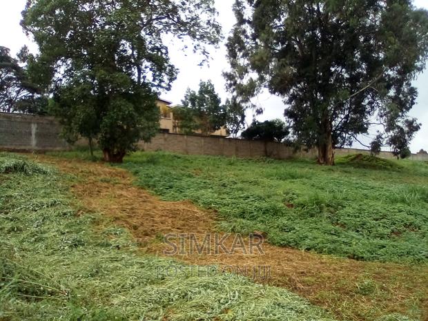 0.5-Acre Plots for Sale in Rosslyn - thumbnail 11