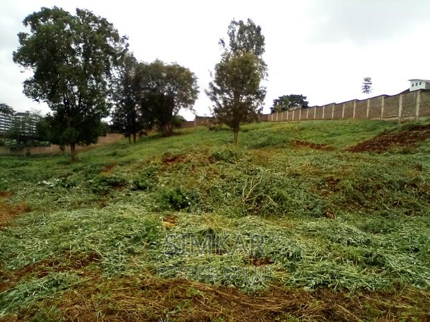 0.5-Acre Plots for Sale in Rosslyn - thumbnail 12