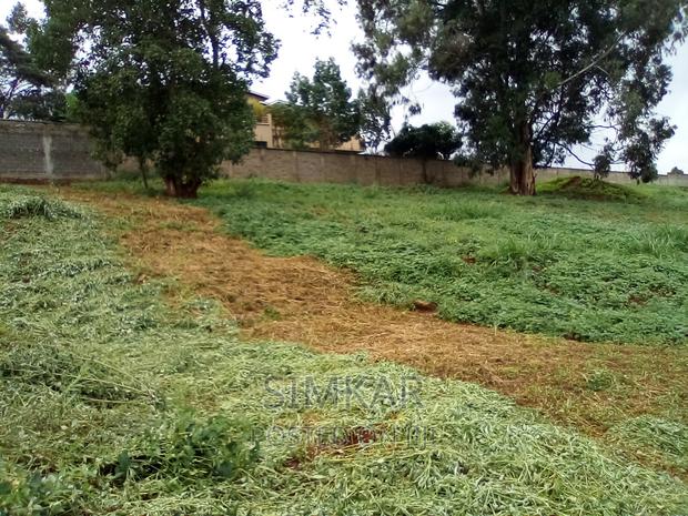 0.5-Acre Plots for Sale in Rosslyn - thumbnail 13