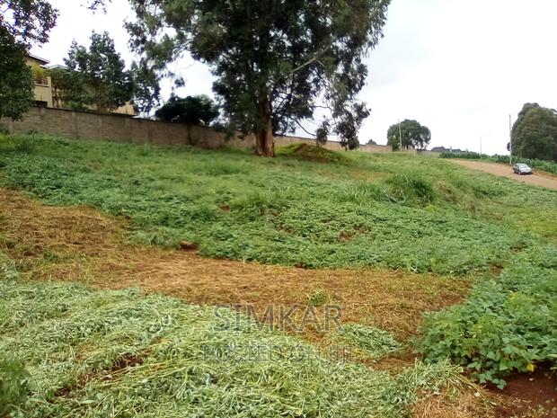 0.5-Acre Plots for Sale in Rosslyn - thumbnail 14