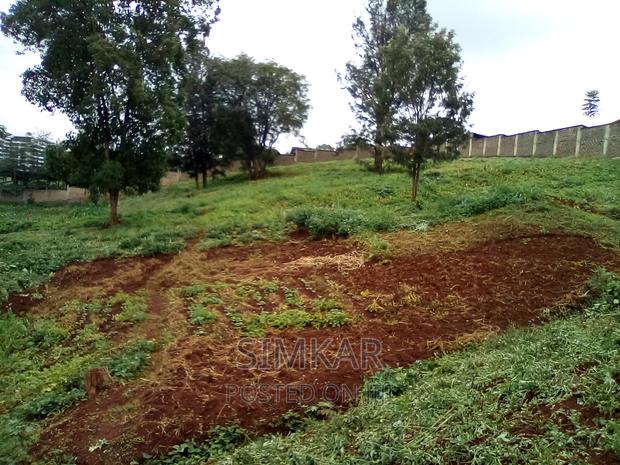 0.5-Acre Plots for Sale in Rosslyn - thumbnail 17